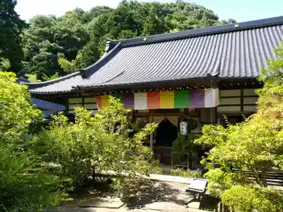 高照寺の本殿・本堂
