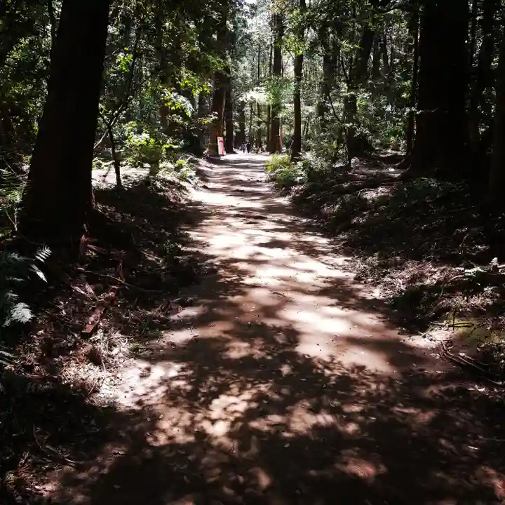 鹿島神宮の自然
