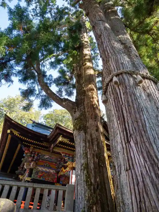 三峯神社(埼玉県)