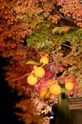 善水寺(滋賀県)