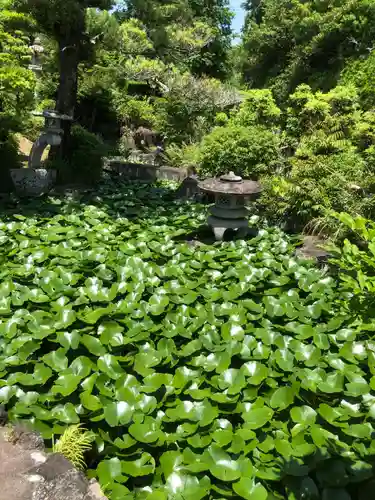 華蔵寺(愛知県)