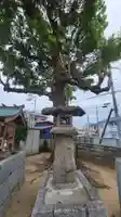 荒神社(愛媛県)