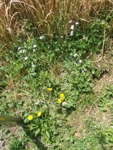 錦着山護国神社の自然