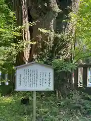 一之宮貫前神社(群馬県)