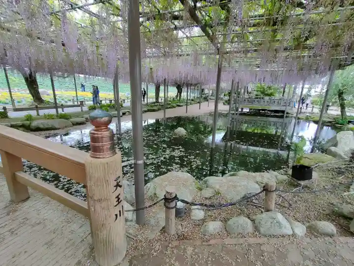 津島神社の周辺