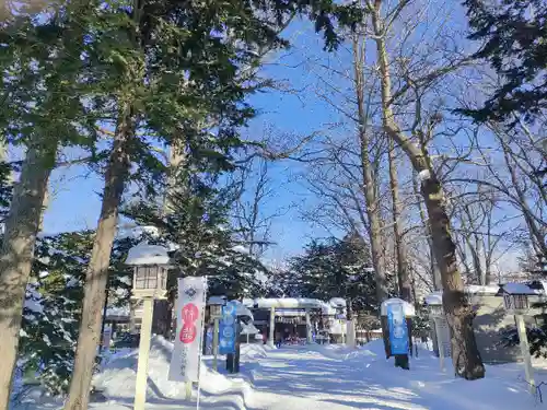 新琴似神社の初詣