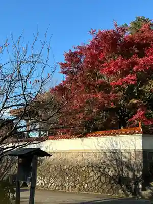 浄善寺(島根県)