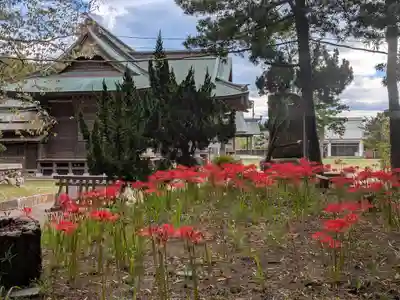 鶴谷八幡宮(千葉県)