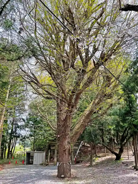 石手堰神社(岩手県)