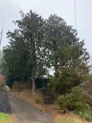 白山神社の自然