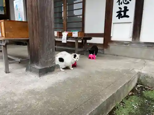 今市報徳二宮神社(栃木県)