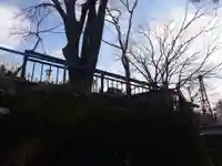 大山阿夫利神社の周辺