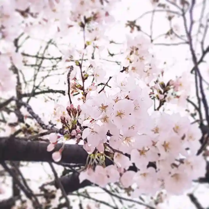 戸塚穴守稲荷社(神奈川県)