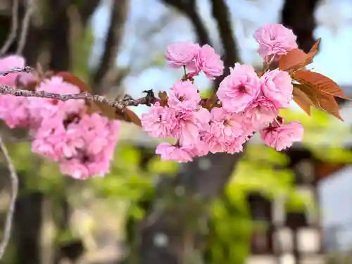 西光寺(長野県)