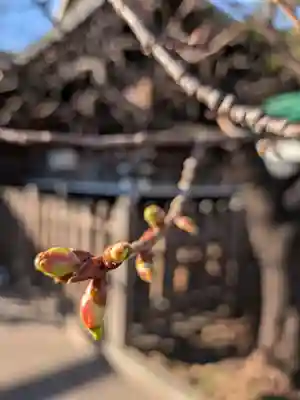 新宿下落合氷川神社(東京都)
