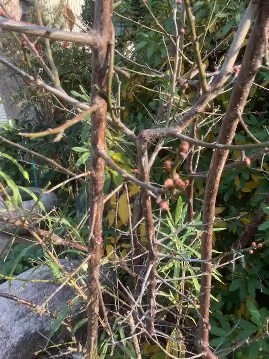 辯天寺(愛知県)