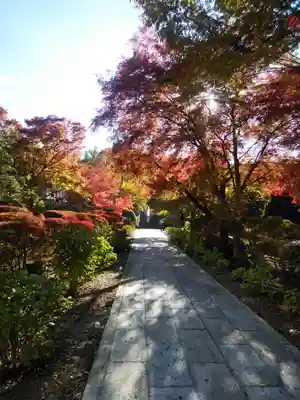 陽林寺のその他建物