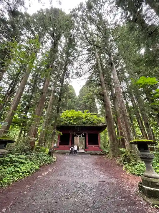 戸隠神社九頭龍社の山門・神門