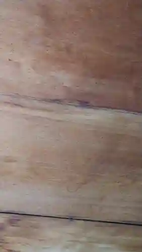 宝泉院(京都府)