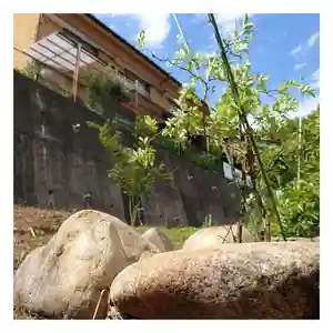 岐阜稲荷山本社の自然(2022年05月30日(月) 15時58分23秒投稿)