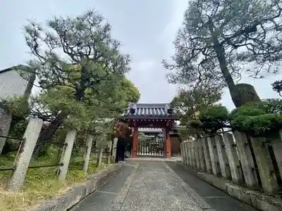 恋塚浄禅寺の山門