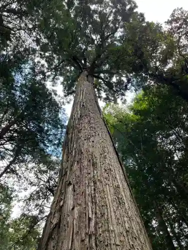 元伊勢内宮 皇大神社(京都府)