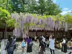 笠間稲荷神社の庭園