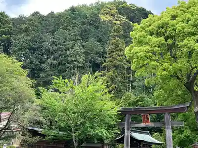 高麗神社(埼玉県)