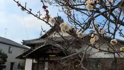 遍照寺(滋賀県)