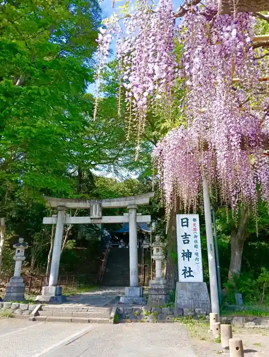 日吉神社の{uncategorized: "未分類", other: "その他", undefined: "問題あり", building: "その他建物", grave: "お墓", sacred_gate: "鳥居", guardian: "狛犬", statue: "像", buddha: "仏像", history: "歴史", nature: "自然", garden: "庭園", animal: "動物", pagoda: "塔", temizu: "手水舎", mountain_gate: "山門・神門", sanctuary: "本殿・本堂", subordinate: "末社・摂社", art: "芸術", scenery: "景色", jizo: "地蔵", ema: "絵馬", goshuin: "御朱印", omikuji: "おみくじ", items: "授与品その他", amulet: "お守り", goshuincho: "御朱印帳", eats: "食事", festival: "お祭り", votive_dance: "神楽", shichigosan: "七五三参", wedding: "結婚式", experience: "体験その他", initially: "初詣", around: "周辺", anti_infection: "感染症対策"}