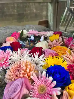 彌都加伎神社の手水舎