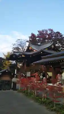 行田八幡神社の本殿・本堂