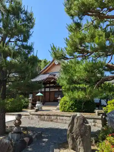 大善寺(京都府)