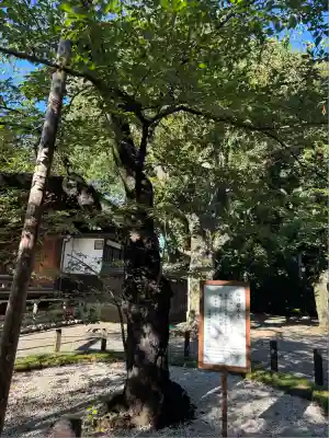 靖國神社(東京都)