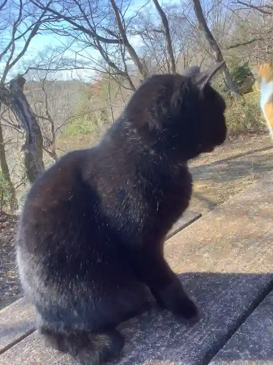 玉野御嶽神社の動物