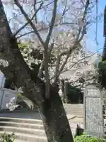 甘縄神明神社(甘縄神明宮)の景色