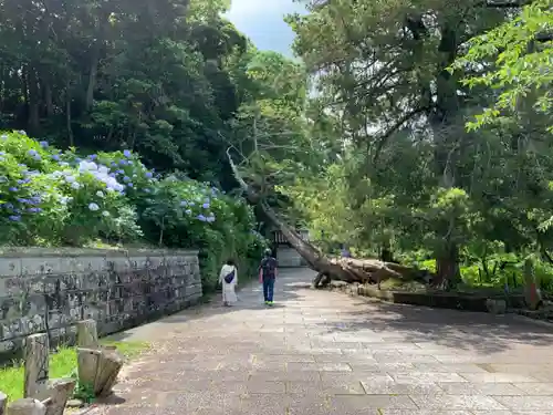 日運寺のその他建物