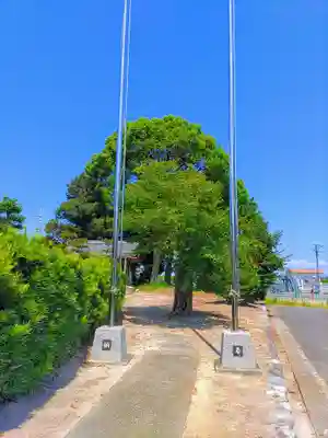 神明社(甲新田須賀北)の自然