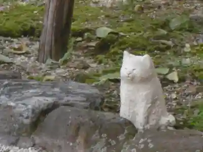 聖護院門跡の狛犬