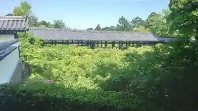 東福禅寺(東福寺)(京都府)