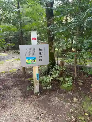 須佐神社の{uncategorized: "未分類", other: "その他", undefined: "問題あり", building: "その他建物", grave: "お墓", sacred_gate: "鳥居", guardian: "狛犬", statue: "像", buddha: "仏像", history: "歴史", nature: "自然", garden: "庭園", animal: "動物", pagoda: "塔", temizu: "手水舎", mountain_gate: "山門・神門", sanctuary: "本殿・本堂", subordinate: "末社・摂社", art: "芸術", scenery: "景色", jizo: "地蔵", ema: "絵馬", goshuin: "御朱印", omikuji: "おみくじ", items: "授与品その他", amulet: "お守り", goshuincho: "御朱印帳", eats: "食事", festival: "お祭り", votive_dance: "神楽", shichigosan: "七五三参", wedding: "結婚式", experience: "体験その他", initially: "初詣", around: "周辺", anti_infection: "感染症対策"}