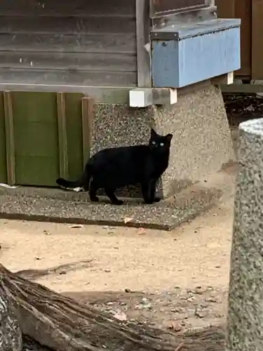 生田神社(兵庫県)