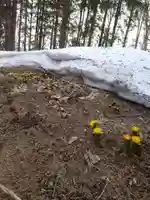八幡神社(北海道)