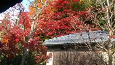 南禅寺のその他建物