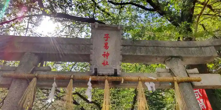 子易神社の鳥居