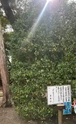 息栖神社(茨城県)