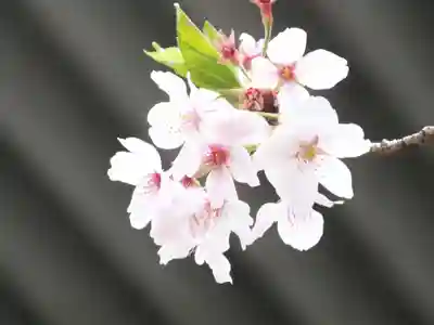 手原稲荷神社(滋賀県)