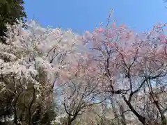 大宮温泉神社(栃木県)