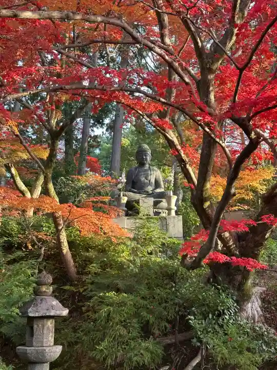 榮攝院(栄摂院)(京都府)