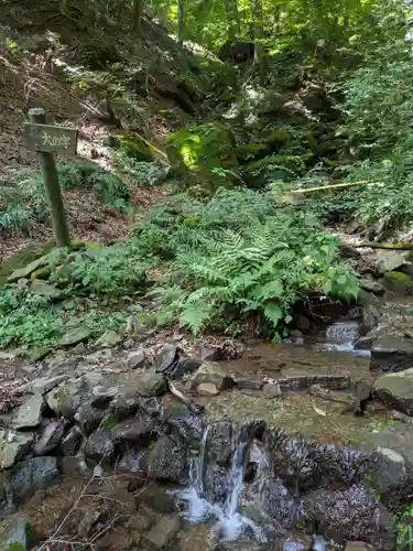 妙義神社 奥の院の自然